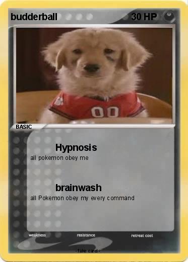 Pokemon budderball