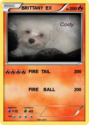 Pokemon BRITTANY  EX