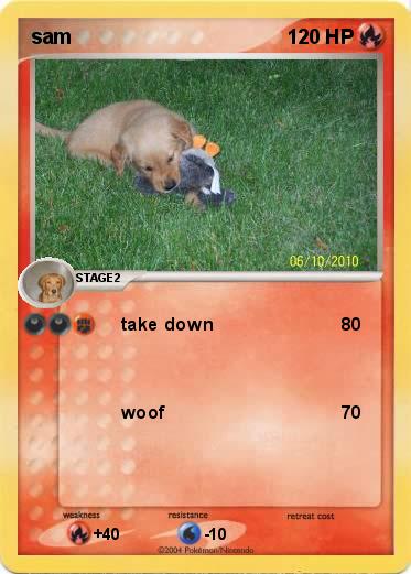 Pokemon sam
