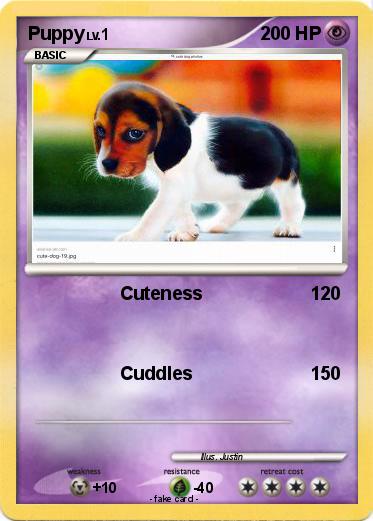 Pokemon Puppy