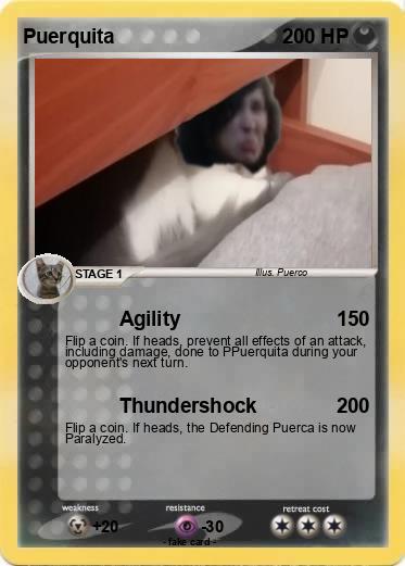 Pokemon Puerquita