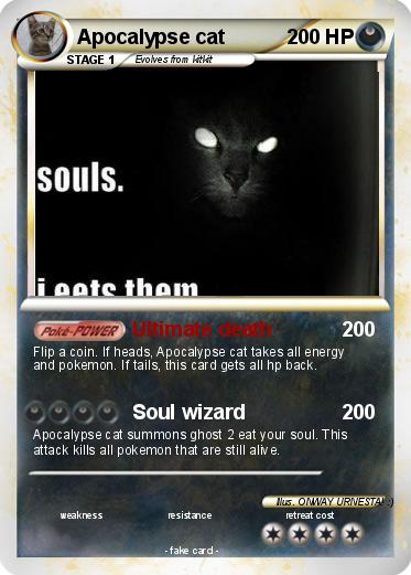 Pokemon Apocalypse cat