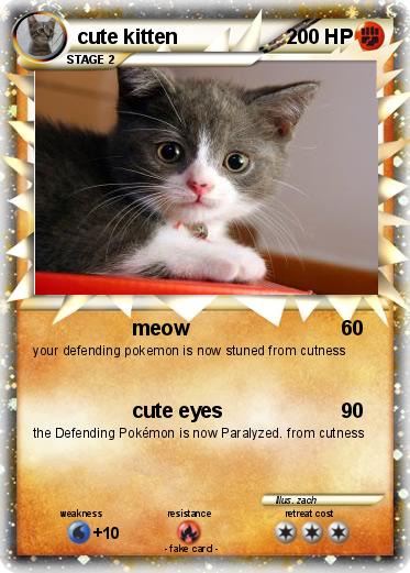 Pokemon cute kitten