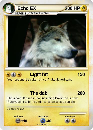 Pokemon Echo EX