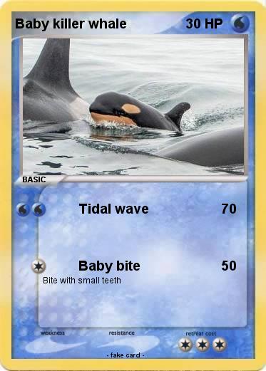 Pokemon Baby killer whale