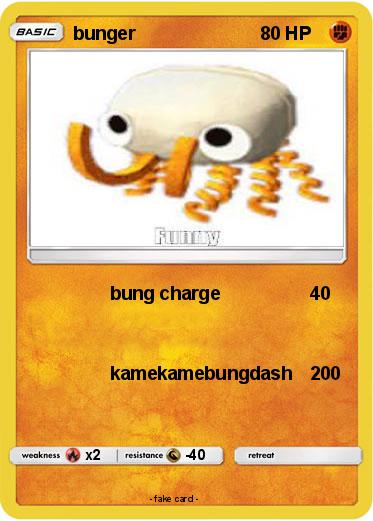 Pokemon bunger