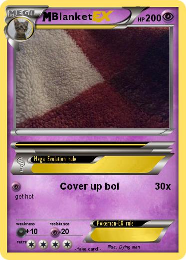 Pokemon Blanket