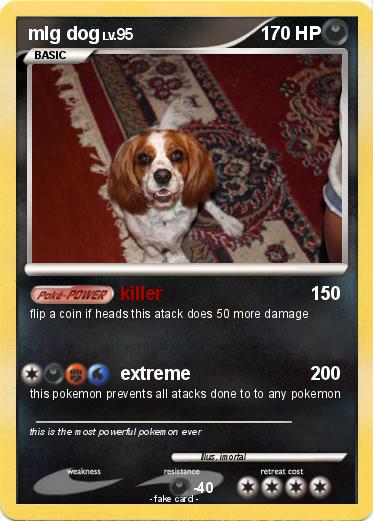 Pokemon mlg dog