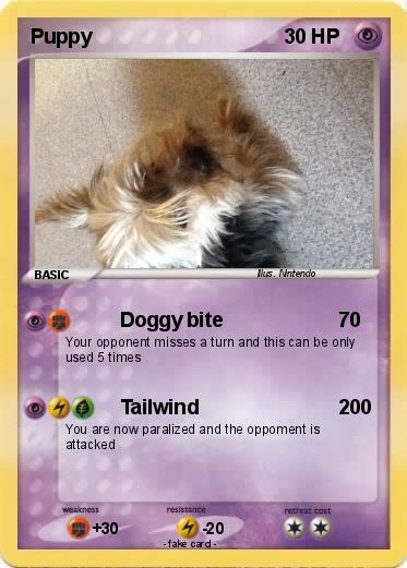 Pokemon Puppy