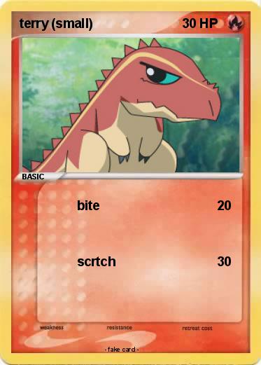 Pokemon terry (small)