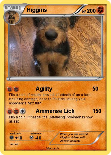 Pokemon Higgins