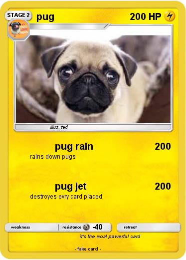 Pokemon pug