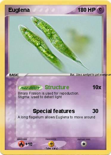 Pokemon Euglena