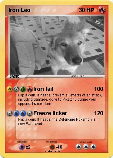 Pokemon Iron Leo