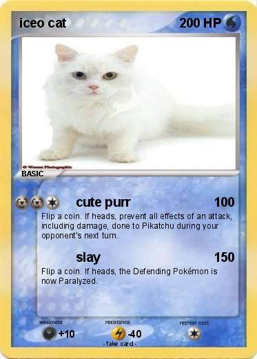 Pokemon iceo cat