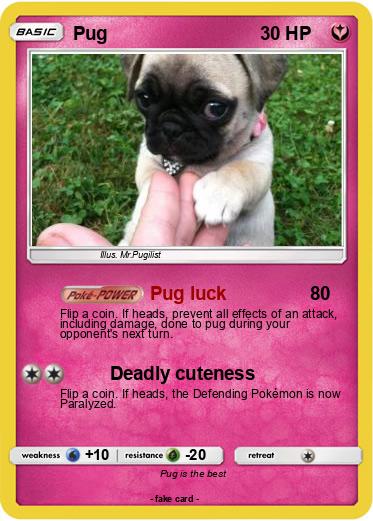 Pokemon Pug