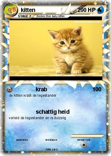 Pokemon kitten