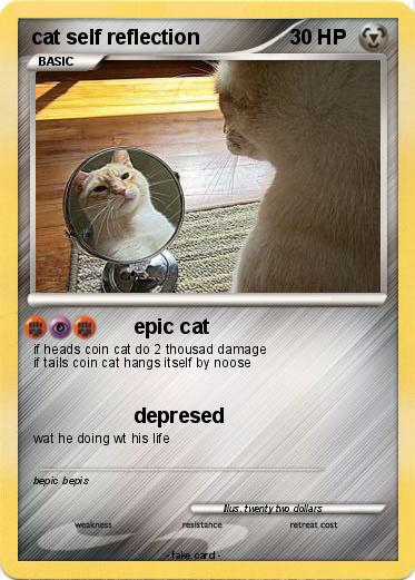 Pokemon cat self reflection