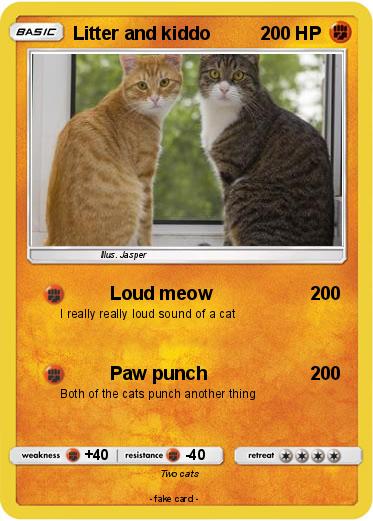 Pokemon Litter and kiddo