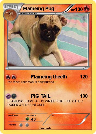 Pokemon Flameing Pug