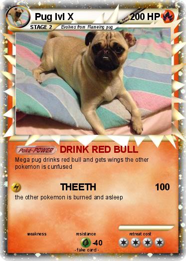 Pokemon Pug lvl X
