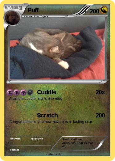 Pokemon Puff