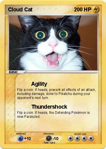 Pokemon Cloud Cat