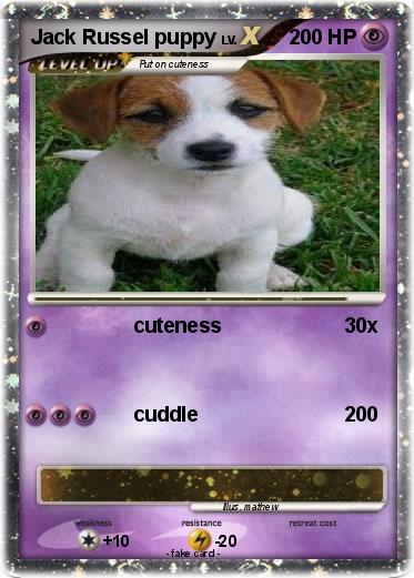Pokemon Jack Russel puppy