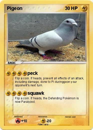Pokemon Pigeon