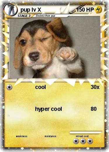 Pokemon pup lv X