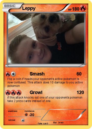 Pokemon Leppy
