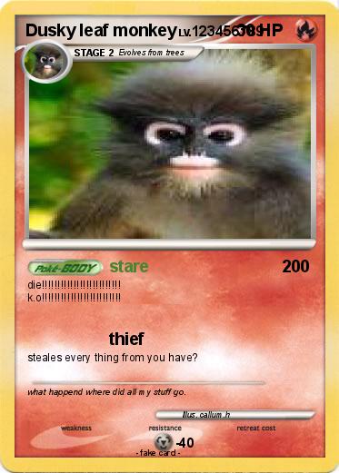 Pokemon Dusky leaf monkey