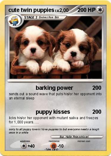 Pokemon cute twin puppies