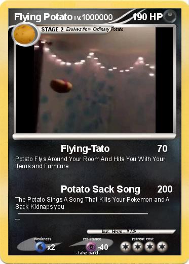 Pokemon Flying Potato