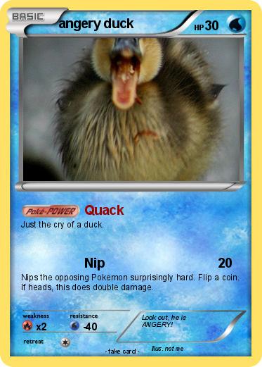 Pokemon angery duck