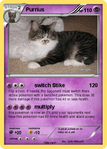 Pokemon Purrius