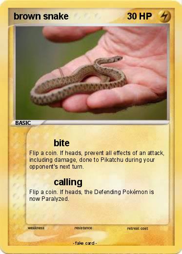 Pokemon brown snake