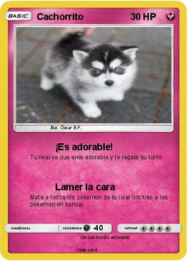 Pokemon Cachorrito