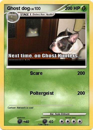 Pokemon Ghost dog