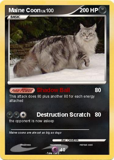 Pokemon Maine Coon