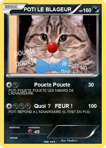 Pokemon POTI LE BLAGEUR