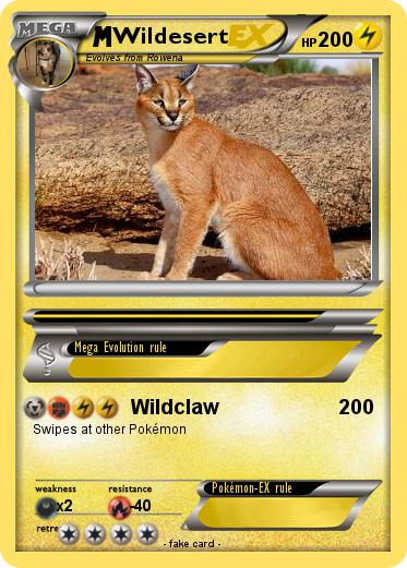 Pokemon Wildesert