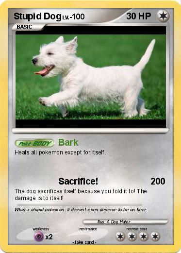 Pokemon Stupid Dog