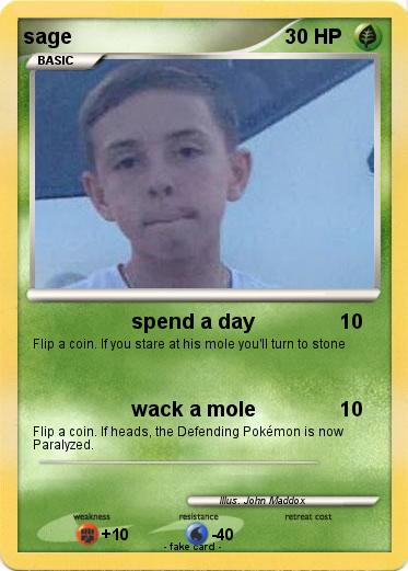 Pokemon sage