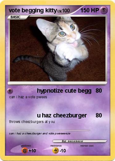Pokemon vote begging kitty