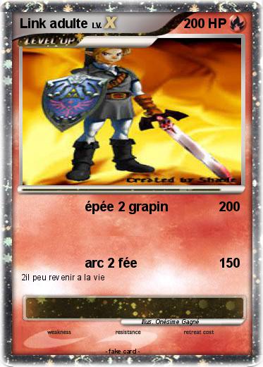 Pokemon Link adulte