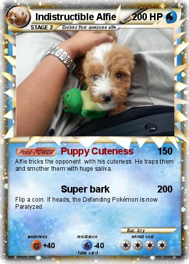 Pokemon Indistructible Alfie