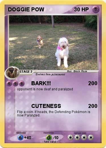 Pokemon DOGGIE POW
