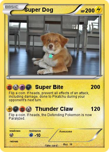 Pokemon Super Dog