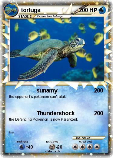 Pokemon tortuga